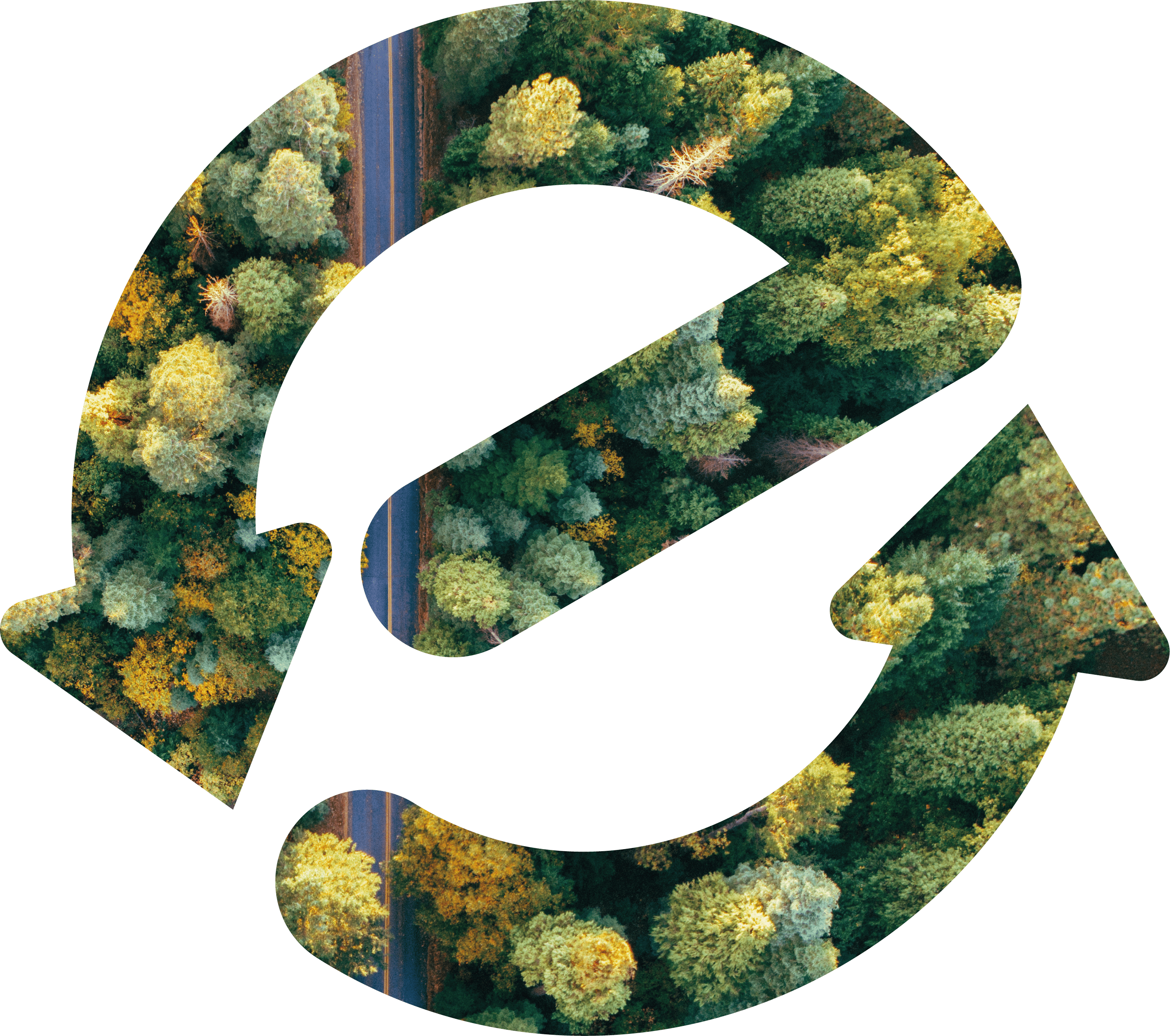 Switche Logo